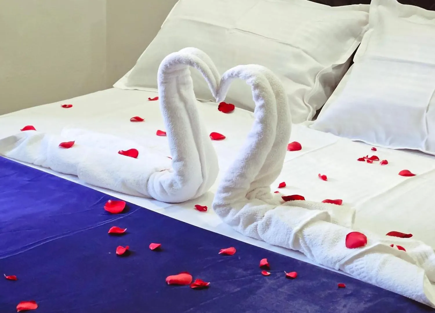 מלון Erattupetta Moonlight Tourist Home הודו
